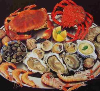 En Dalian seafood menu - krabber, muslinger, rejer og østers